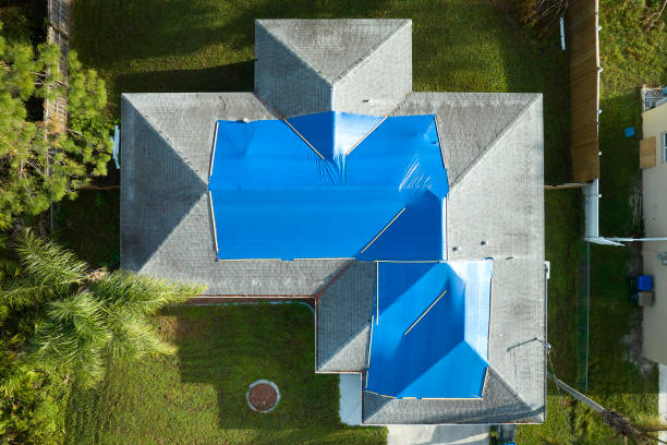 Best Roof Coating and Sealing  in Alexandria, MN