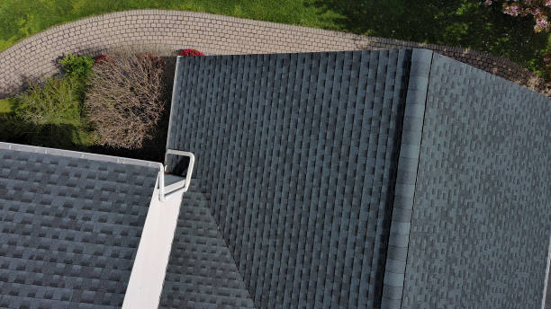 Best Commercial Roofing Services  in Alexandria, MN