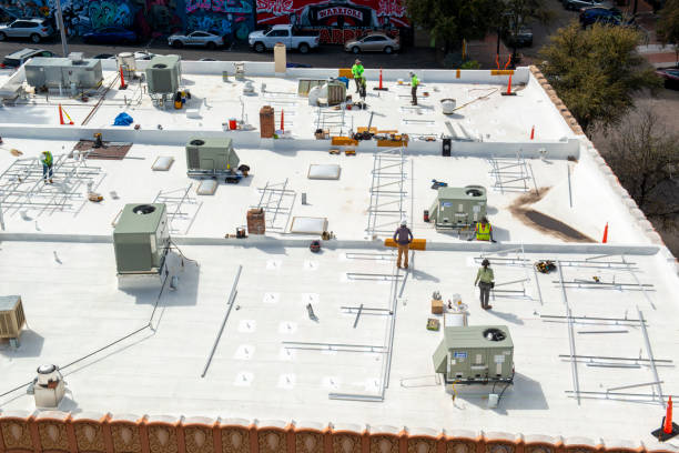 Best Roof Maintenance and Cleaning  in Alexandria, MN
