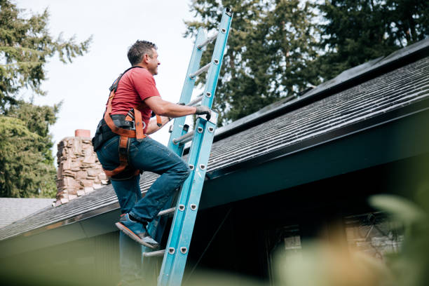 Best Roof Insulation Installation  in Alexandria, MN