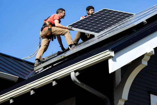 Best Roof Ventilation Installation  in Alexandria, MN
