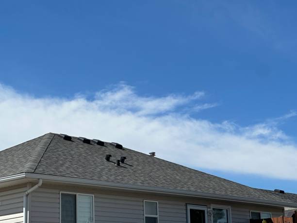 Best Skylight Installation and Repair  in Alexandria, MN